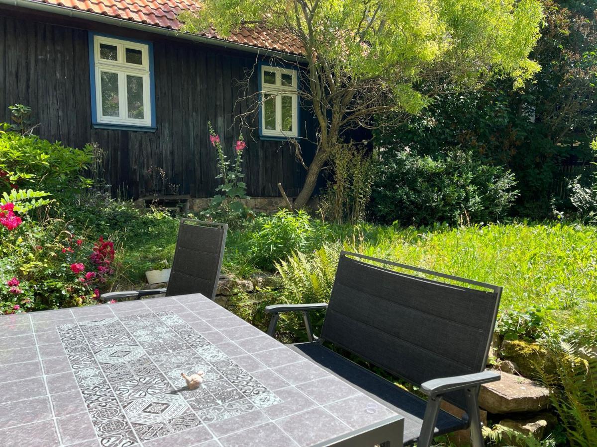 "Kleinstes Haus Von Blankenburg" Urlaub In Einem Einzigartigen Baudenkmal Villa Blankenburg  Exterior photo
